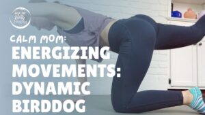 Fitness Trainer Holding a Bird-Dog Pose.